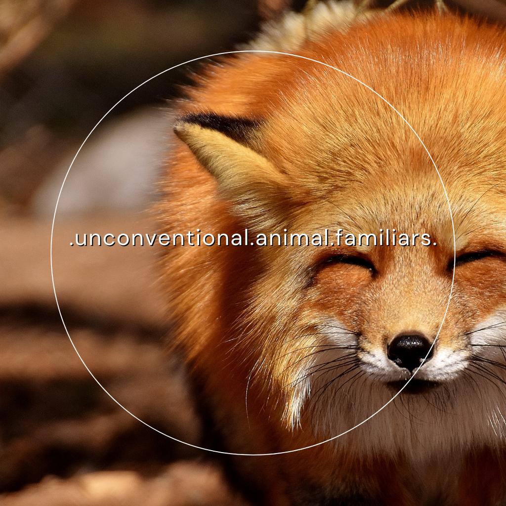 Unconventional Animal Familiars in Folk Witchcraft