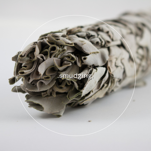 Beyond Smudging: Alternative Cleansing Rituals and Their Significance
