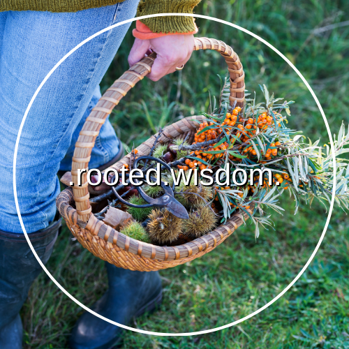 Rooted Wisdom: Ethical Wildcrafting & Respecting Sacred Land
