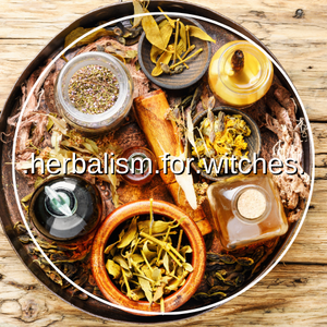 HERBALISM FOR WITCHES 101 - Part One