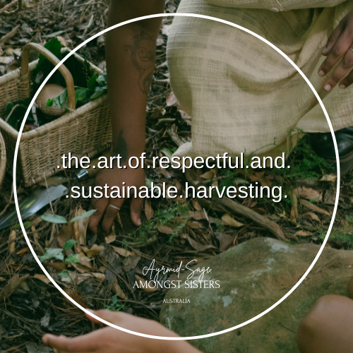 The Art of Respectful and Sustainable Harvesting: A Folk Witchcraft Perspective