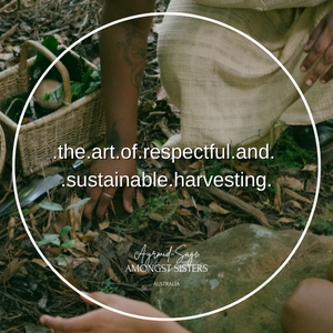 The Art of Respectful and Sustainable Harvesting: A Folk Witchcraft Perspective