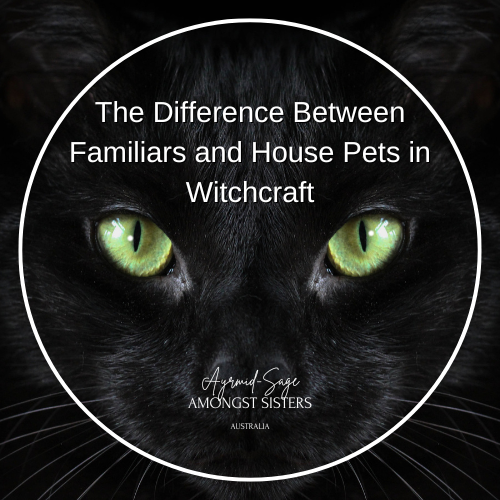 The Difference Between Familiars and House Pets in Witchcraft